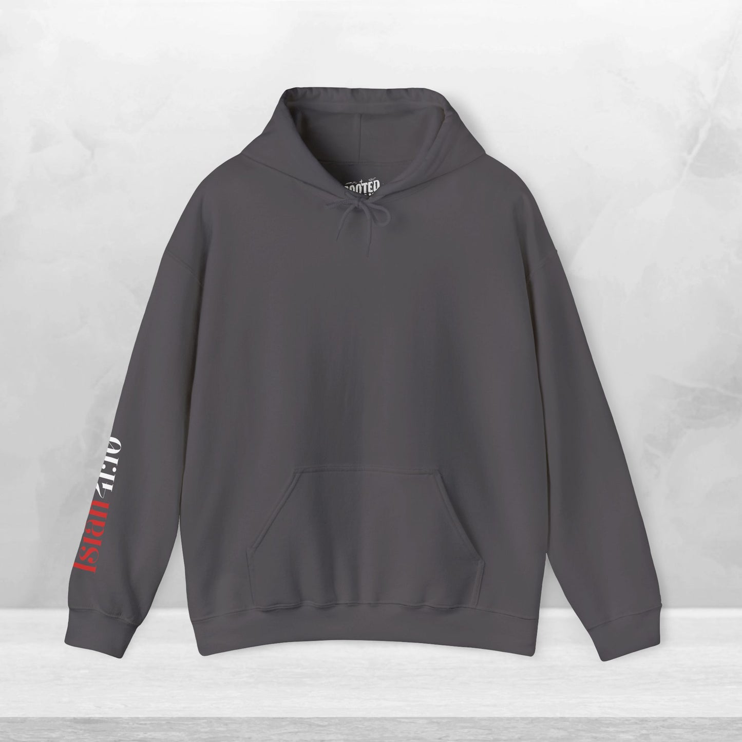 Isaiah 41:10 Fear Not Hoodie