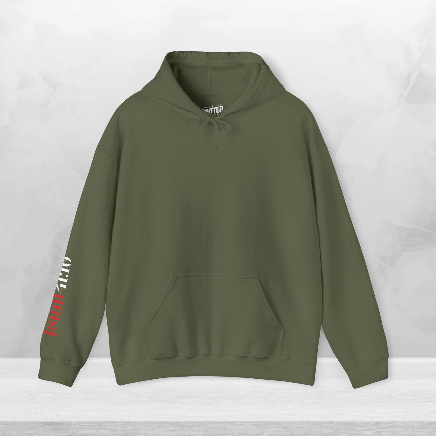 Isaiah 41:10 Fear Not Hoodie