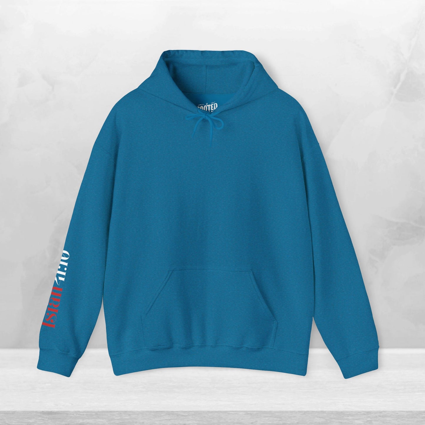 Isaiah 41:10 Fear Not Hoodie