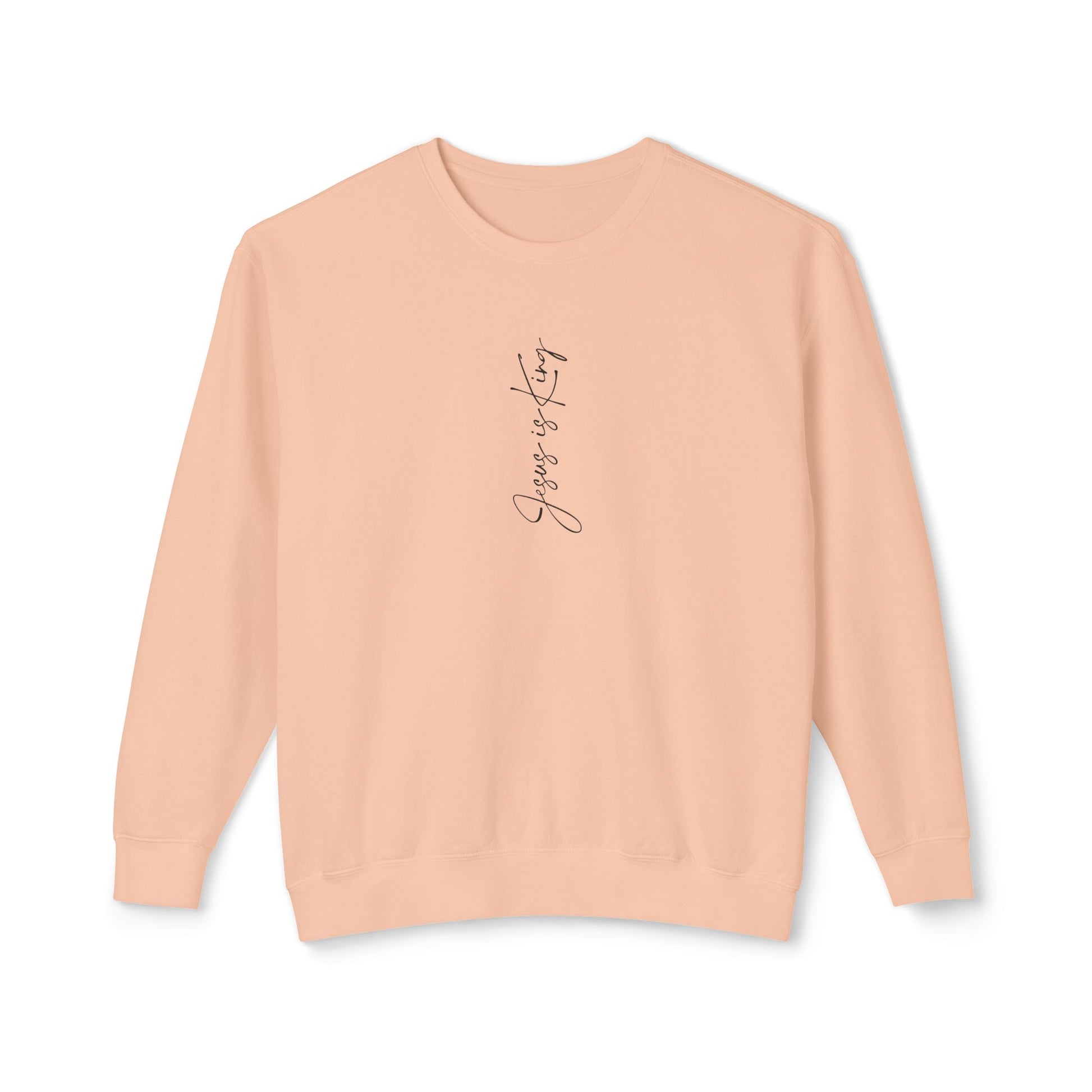 Pink sweatshirt with text on the back against a white background