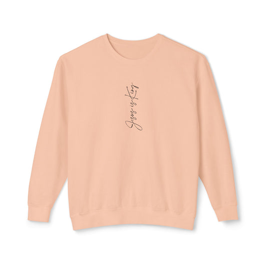 Pink sweatshirt with text on the back against a white background